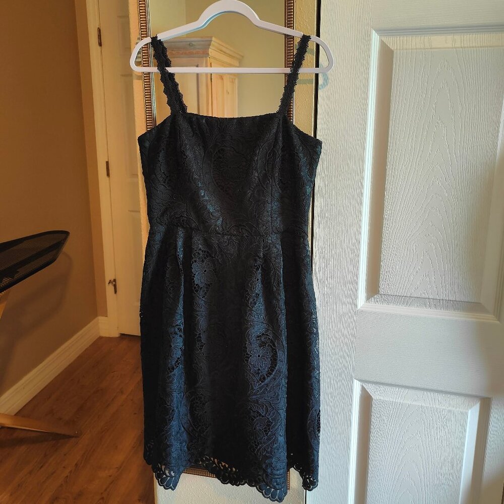 White House Black Market Black Scallop Lace Dress Size 10